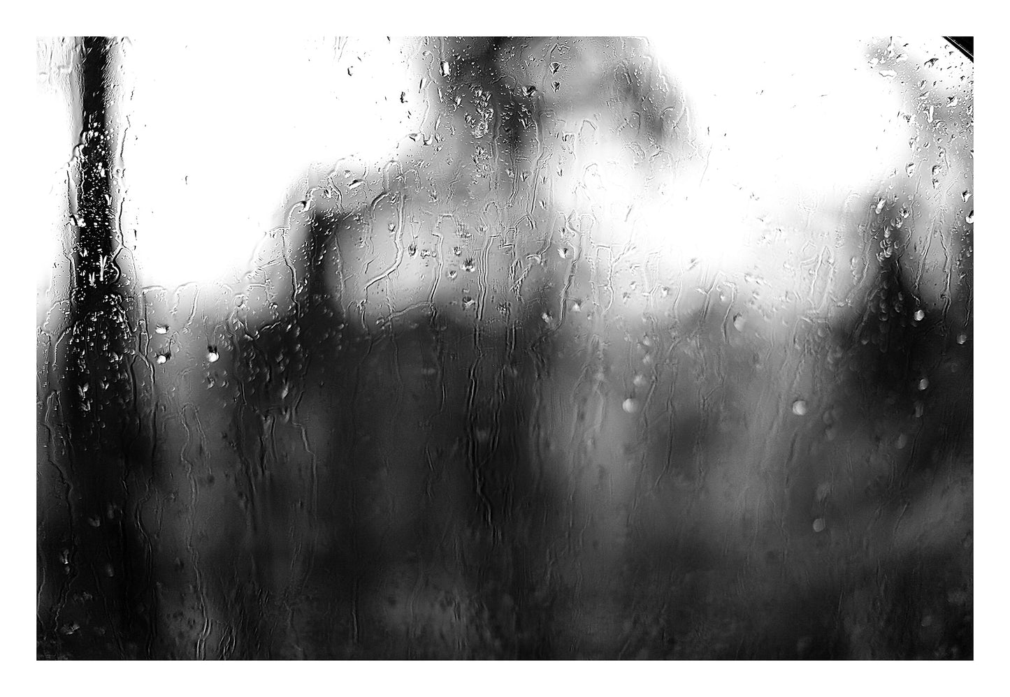 Coastal Noir 7929 - 104x74cm, black and white coastal scene of trees softened through rain-streaked glass, abstract minimalist fine art print.
