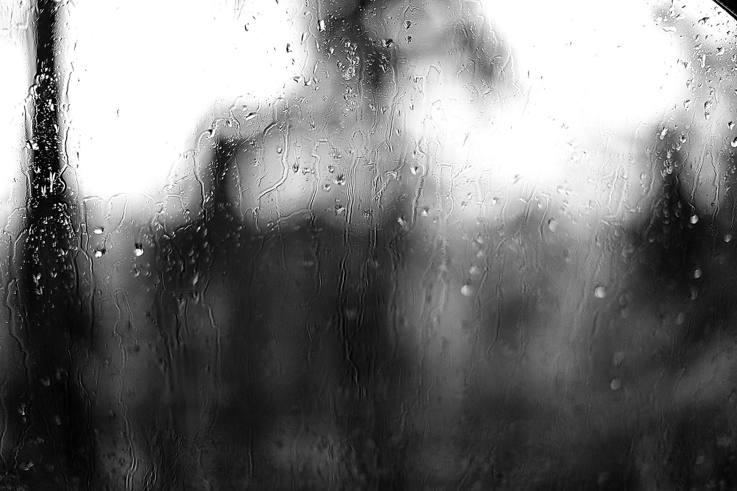 Coastal Noir 7929 - 90x60cm, black and white coastal scene of trees softened through rain-streaked glass, abstract minimalist fine art print.