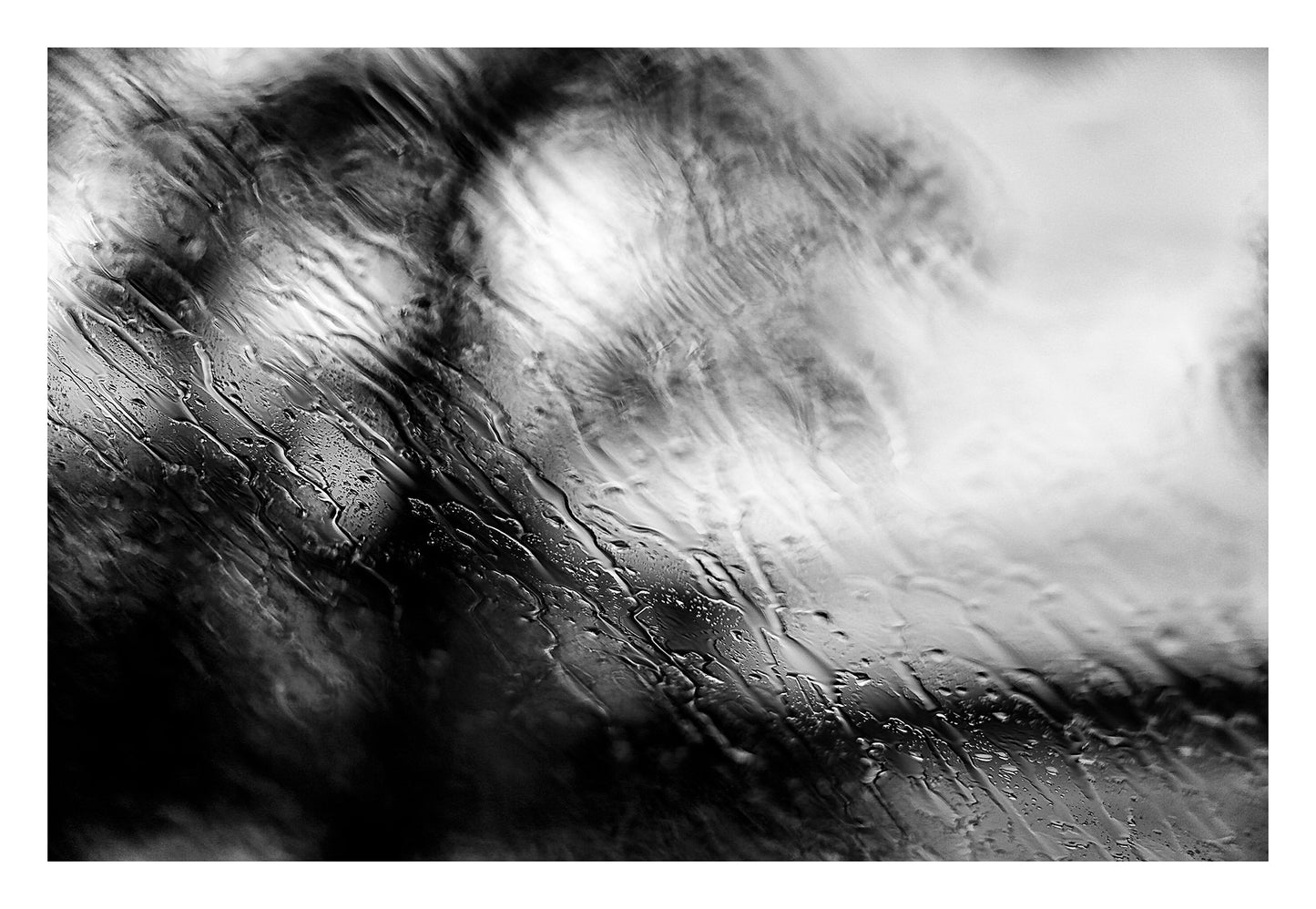 Coastal Noir 8013 - 104x74cm, abstract black and white fine art coastal photograph with delicate rain droplets blurring trees in the background.