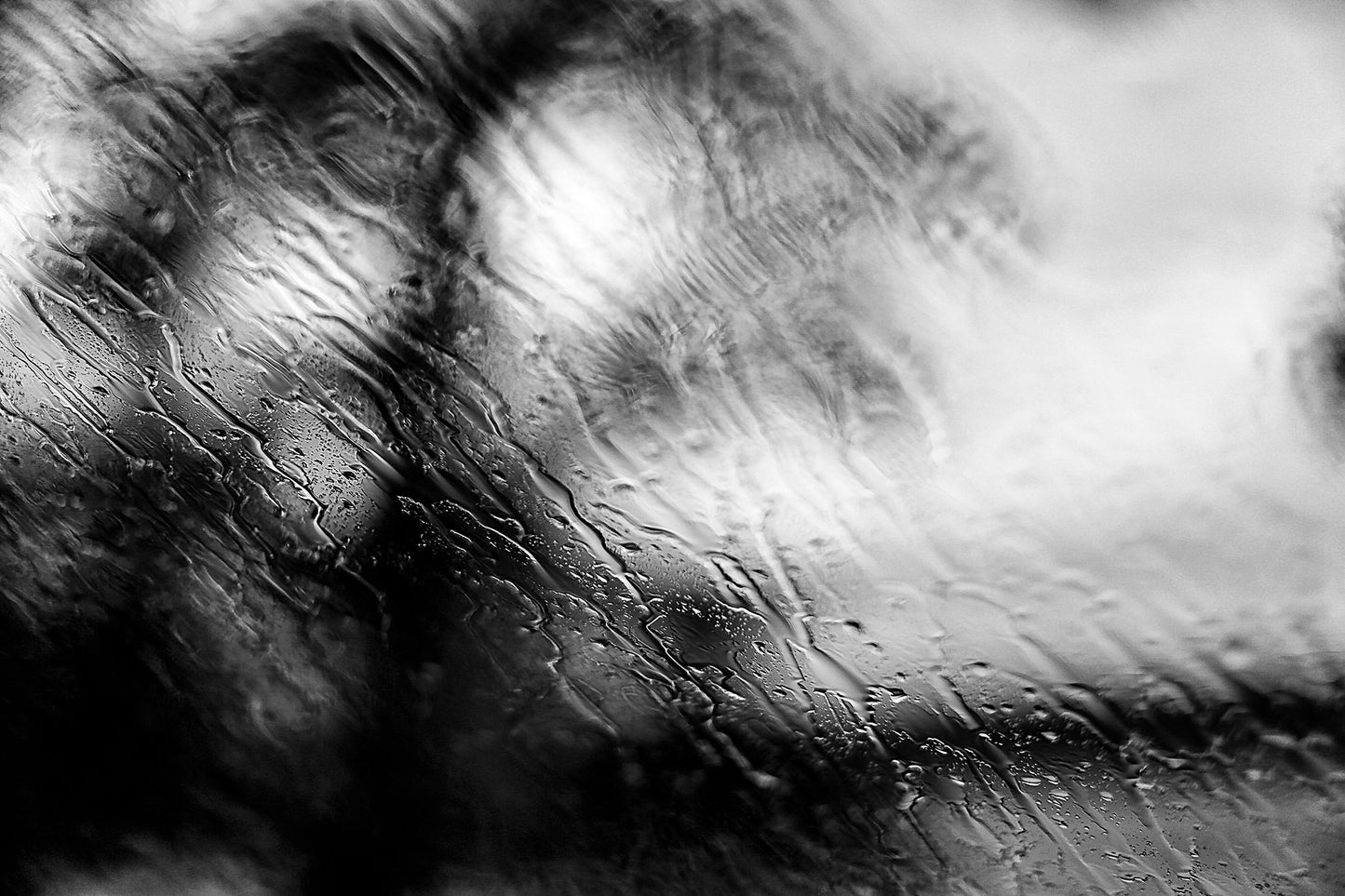 Coastal Noir 8013 - 90x60cm, abstract black and white fine art coastal photograph with delicate rain droplets blurring trees in the background.