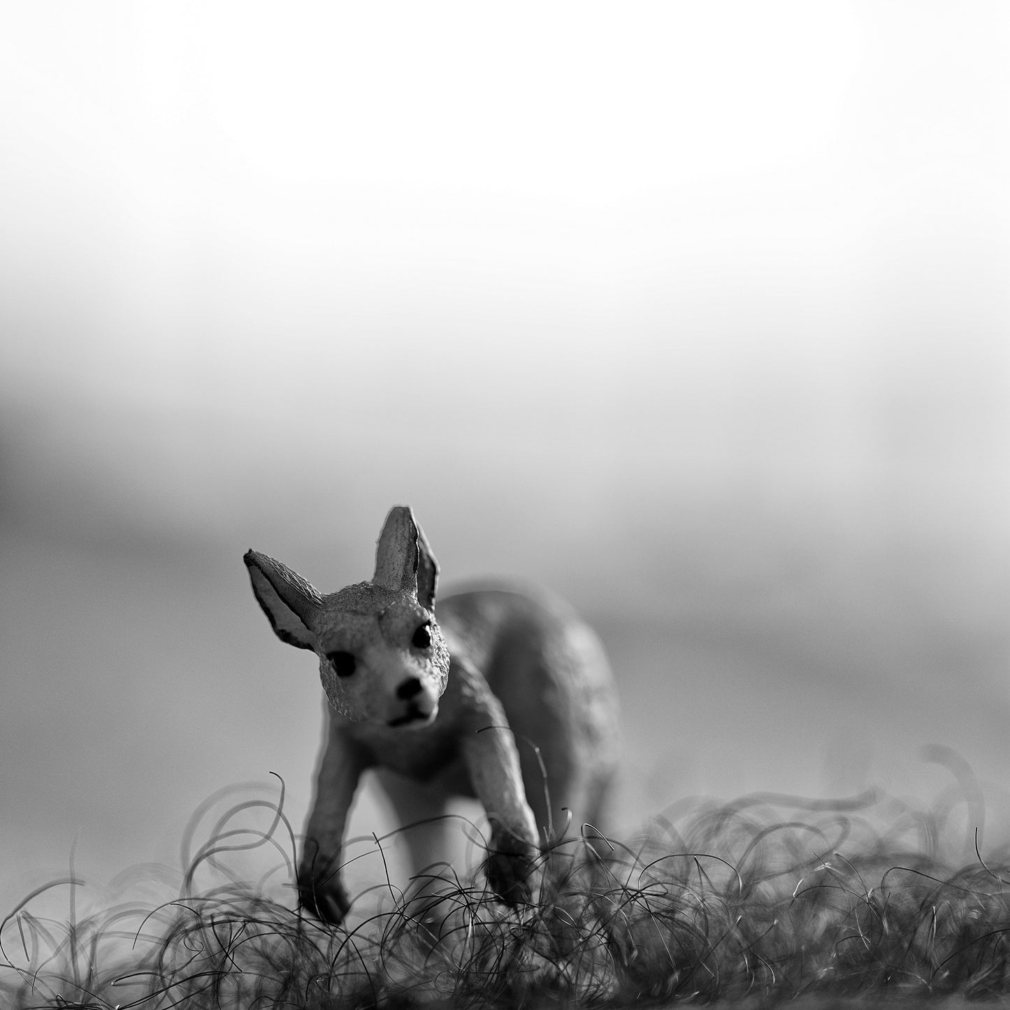 Narrative Works - Lost in the Bush - Aussie Bush - 60x60cm Square (#182714)