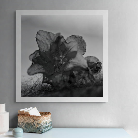 Narrative Works - Lost in the Bush - Bush Flower - 60x60cm Square (#182949)