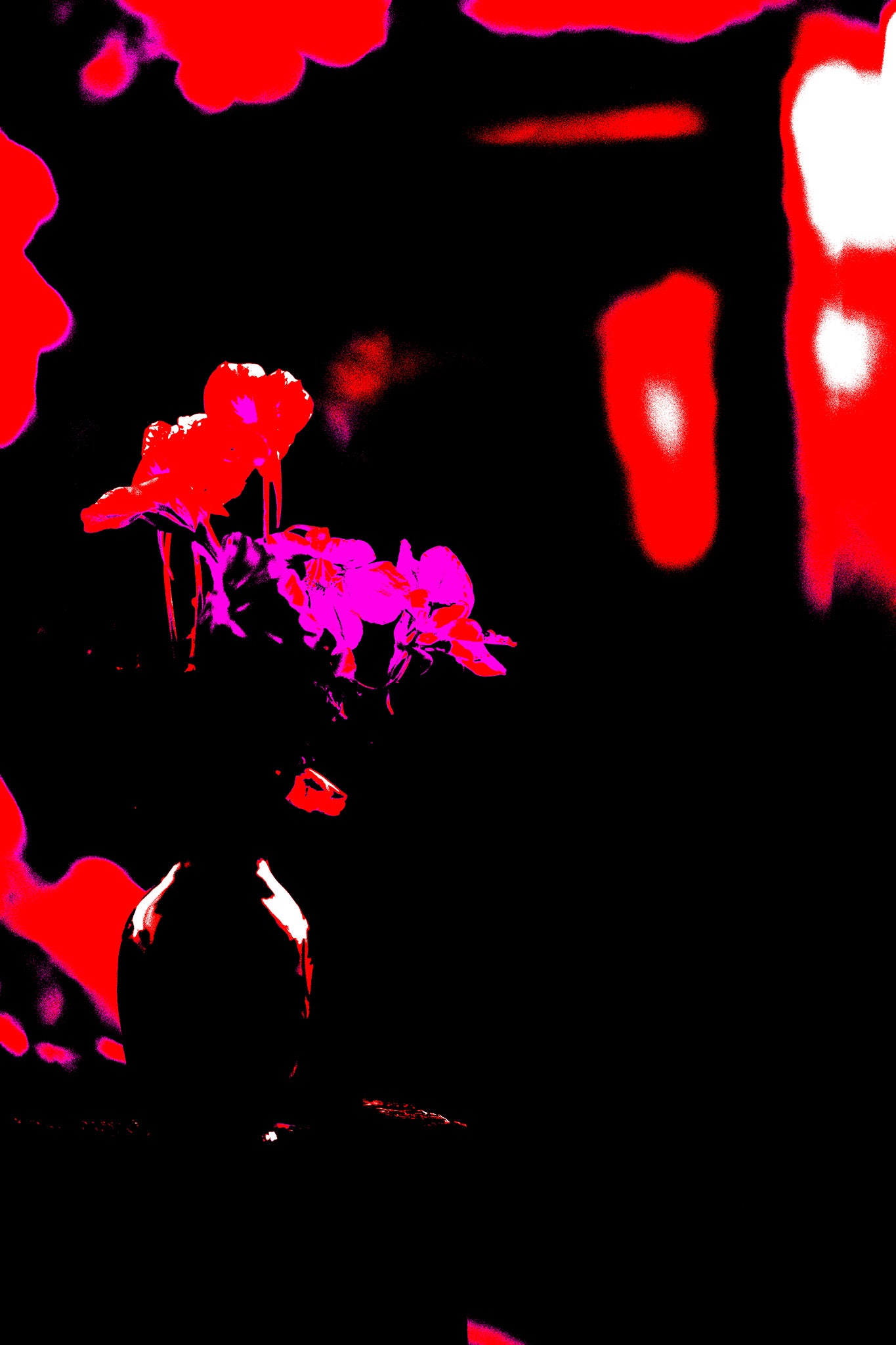 Still Life - Flowers in a Vase Bonny Hills - 60x90cm Vertical (#254234v3)