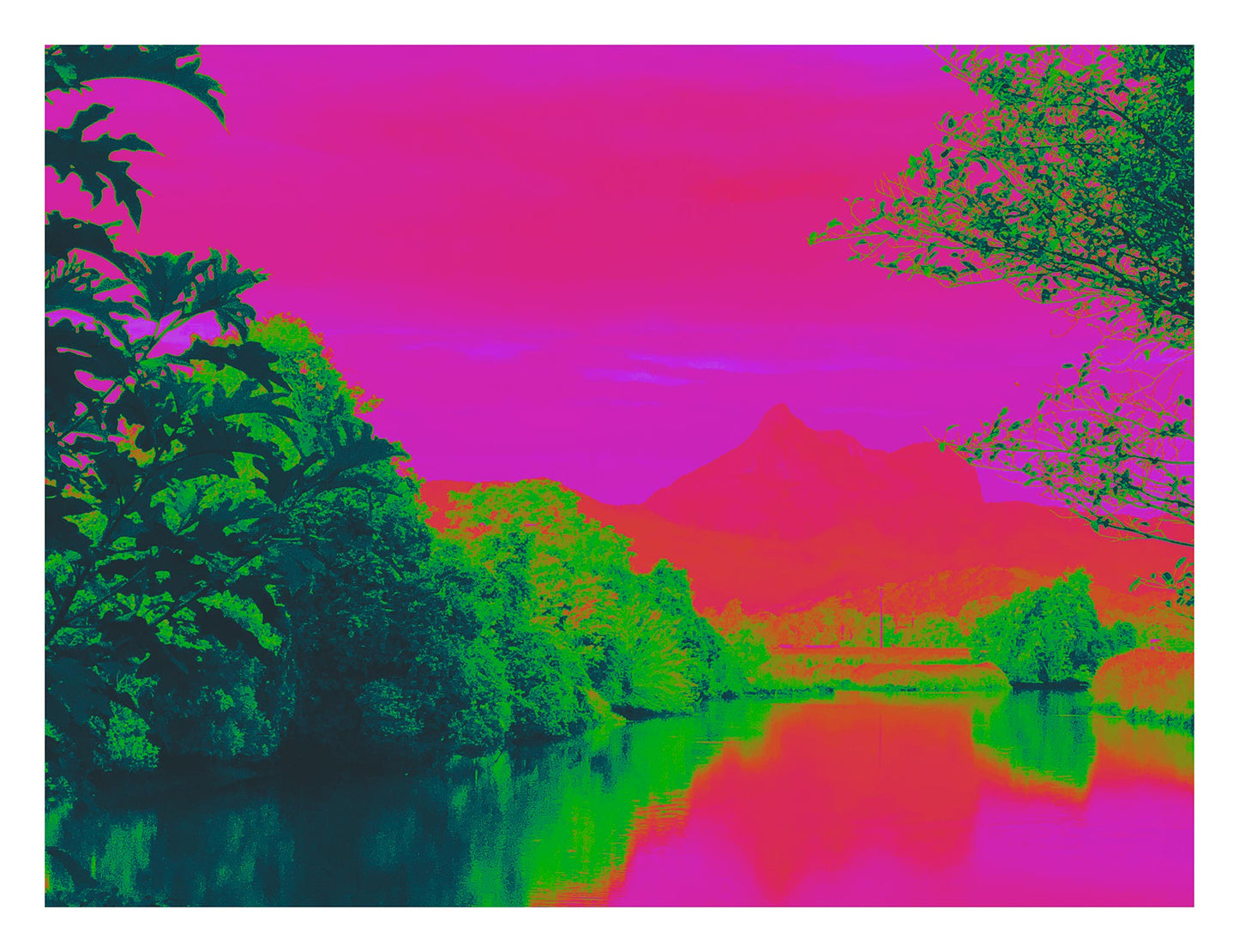 Vivid Country - Wollumbin Reflection Rous River Dulguigan Rd - 7905v8 - 104x81.5cm, a vibrant Pop Art fine art print showing Wollumbin (Mount Warning) reflected in the Rous River. Lush greenery frames a vivid fuchsia sky and water, blending bold magenta, coral, and emerald tones to create a surreal and emotionally charged landscape.