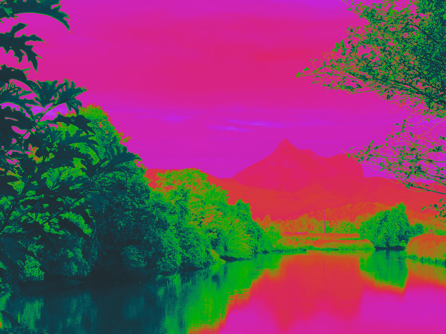 Vivid Country - Wollumbin Reflection Rous River Dulguigan Rd - 7905v8 - 90x67.5cm, a vibrant Pop Art fine art print showing Wollumbin (Mount Warning) reflected in the Rous River. Lush greenery frames a vivid fuchsia sky and water, blending bold magenta, coral, and emerald tones to create a surreal and emotionally charged landscape.