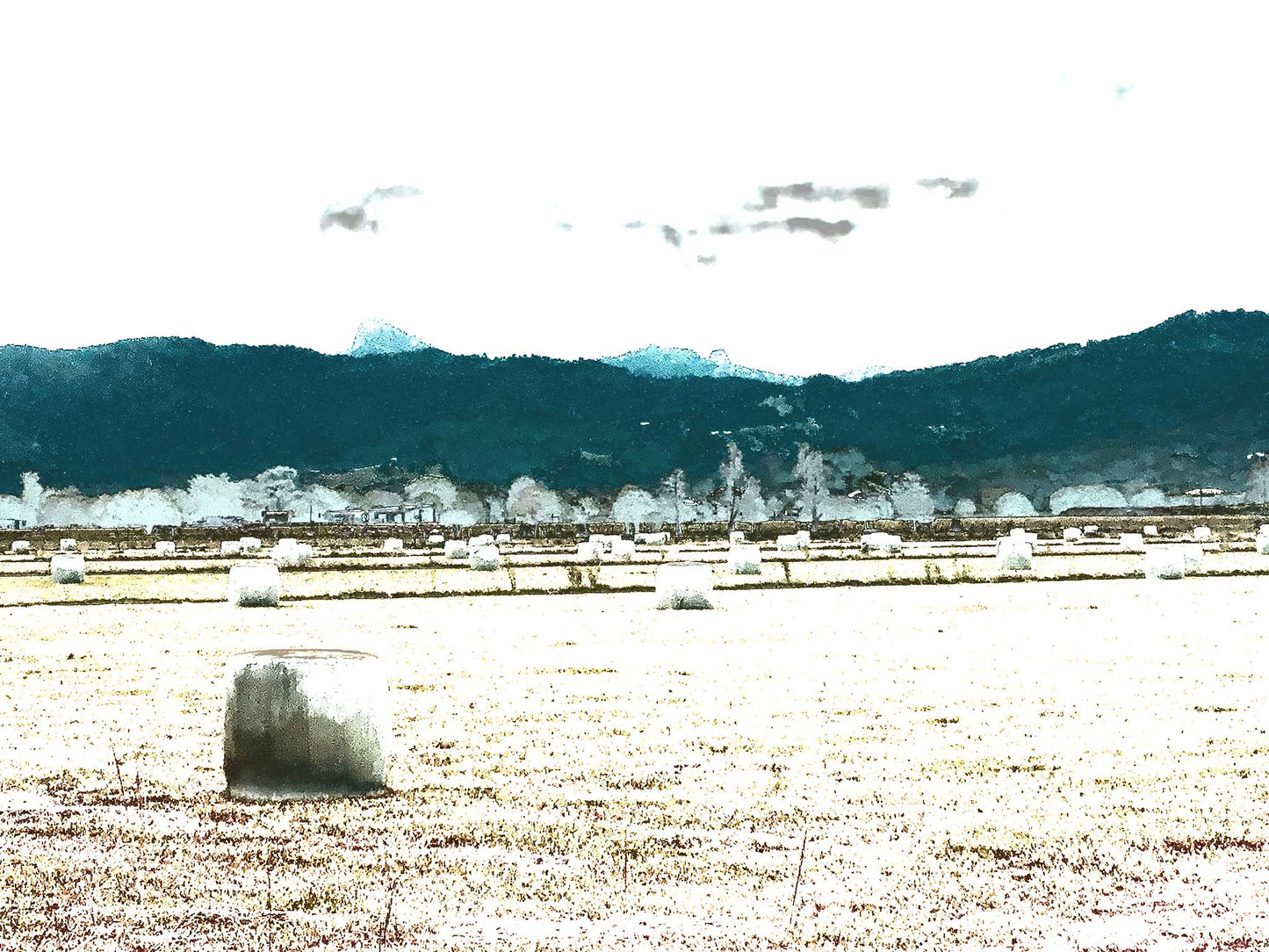 Vivid Country - Murwillumbah - The Daily Drive - Cane Rd - Hay Bales - 90x67.5cm Horizontal (#197346v8)