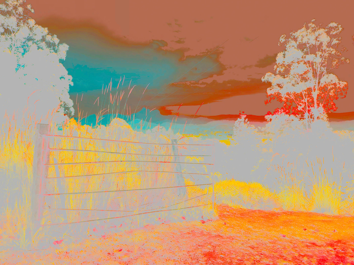 Vivid Country - Murwillumbah - The Daily Drive - Gate Wollumbin - 90x67.5cm Horizontal (#185515vE1)
