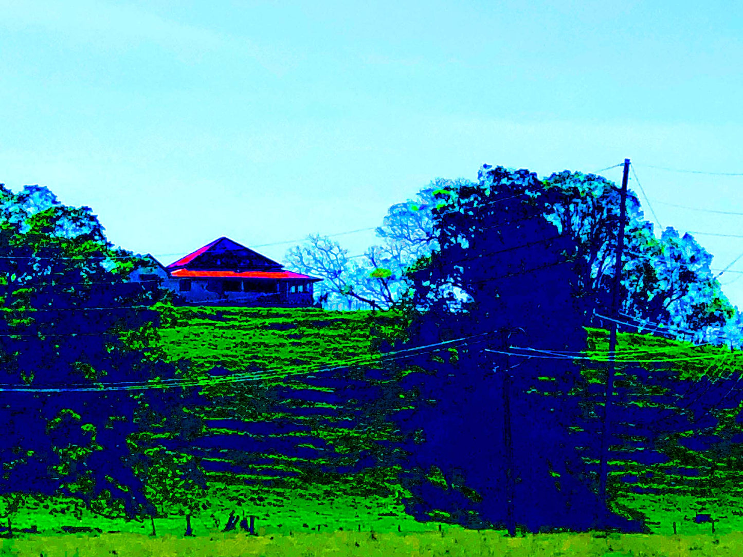 Vivid Country - Murwillumbah - The Daily Drive - Tumbulgum Rd - 90x67.5cm Horizontal (#198353v10)