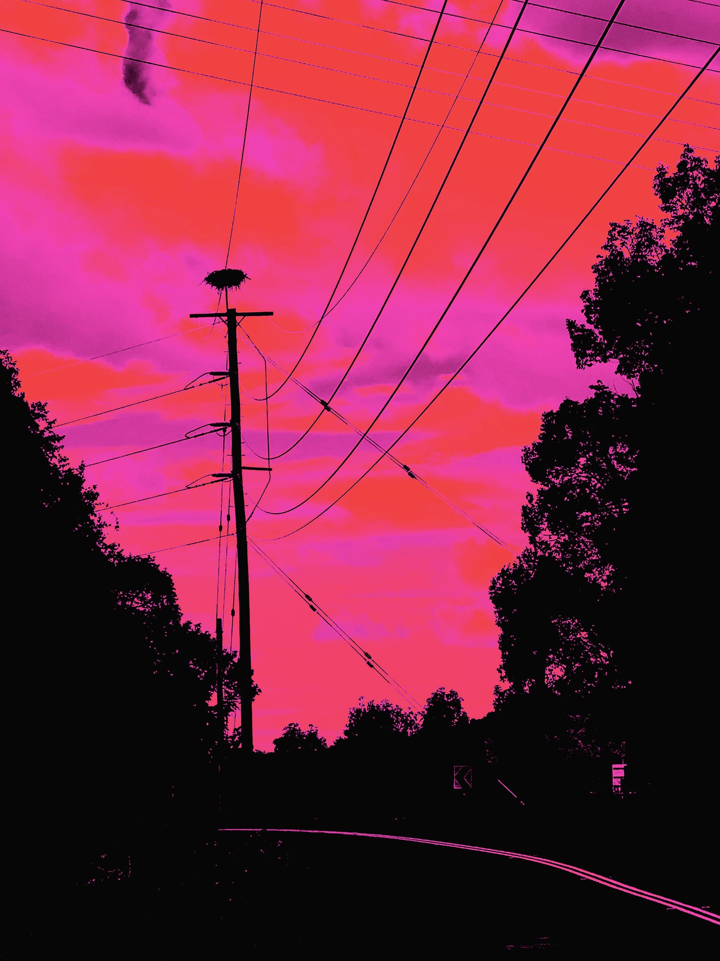 Vivid Country - Murwillumbah - The Daily Drive - Tumbulgum Rd - Birds Nest - 67.5x90cm Vertical (#197376v8)