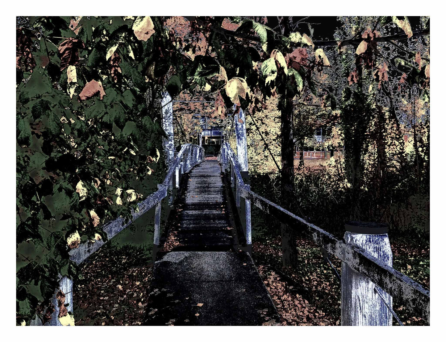 Vivid Country - Armidale Leaves Albion Park Pedestrian Bridge - 2319v21a - 104x81.5cm, a stylised image of a narrow pedestrian bridge in Armidale, framed by dense overhanging foliage in autumn tones. The perspective leads into a quiet distance with filtered light, highlighting the interplay of structure, leaves, and shadow.