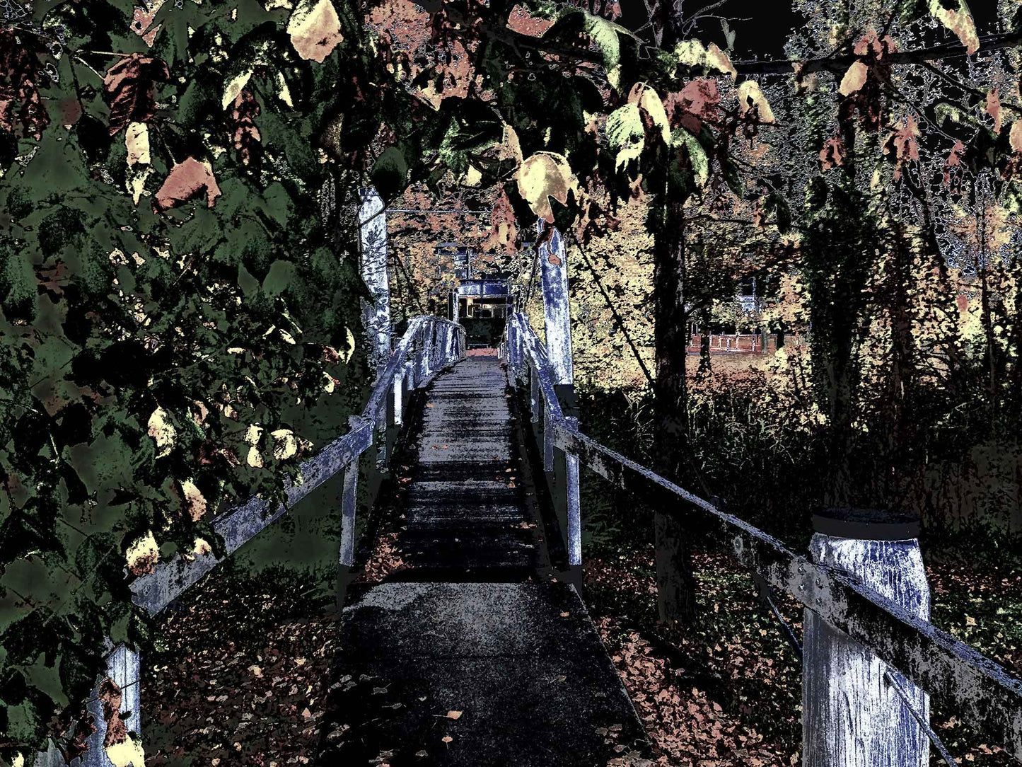 Vivid Country - Armidale Leaves Albion Park Pedestrian Bridge - 2319v21a - 90x67.5cm, a stylised image of a narrow pedestrian bridge in Armidale, framed by dense overhanging foliage in autumn tones. The perspective leads into a quiet distance with filtered light, highlighting the interplay of structure, leaves, and shadow.