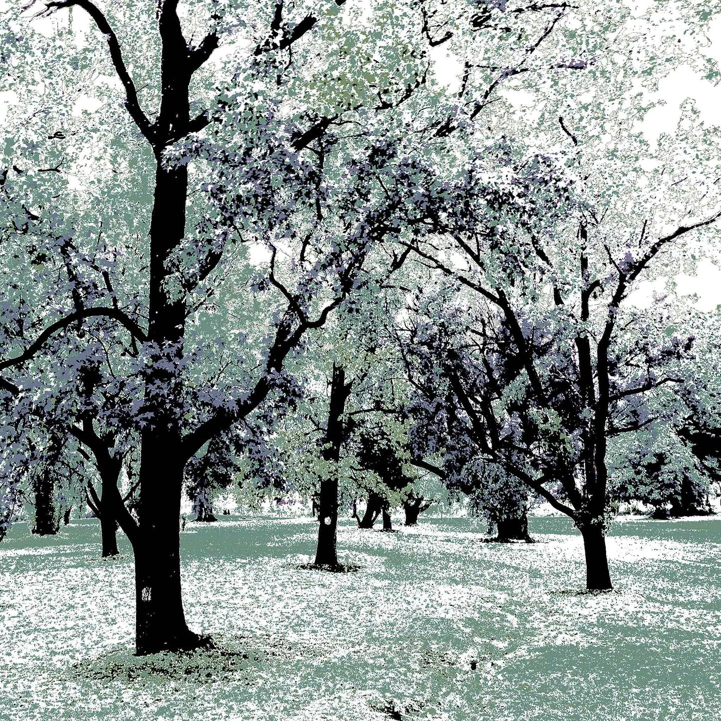 Vivid Country - Armidale Leaves Trees Park - 2302v20 - Close Detail View, a grove of tall trees with outstretched branches in pastel tones of mint, lavender, and charcoal, evoking a dreamlike woodland scene.