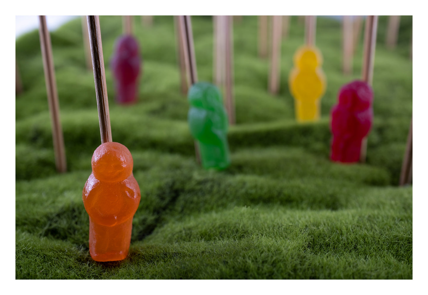 Babes in the Woods 2613v1 - 104x74cm, whimsical fine art photograph featuring colourful jelly baby figures on green textured terrain, skewered on sticks, evoking themes of innocence, absurdity, and surreal displacement. Limited edition print by Raymond Mather, ART1.