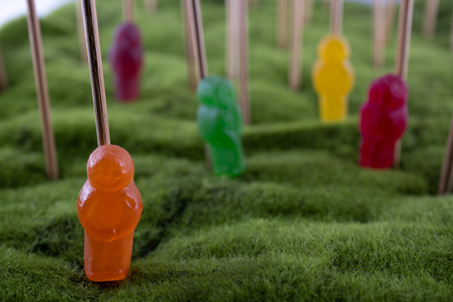 Babes in the Woods 2613v1 - 90x60cm, whimsical fine art photograph featuring colourful jelly baby figures on green textured terrain, skewered on sticks, evoking themes of innocence, absurdity, and surreal displacement. Limited edition print by Raymond Mather, ART1.