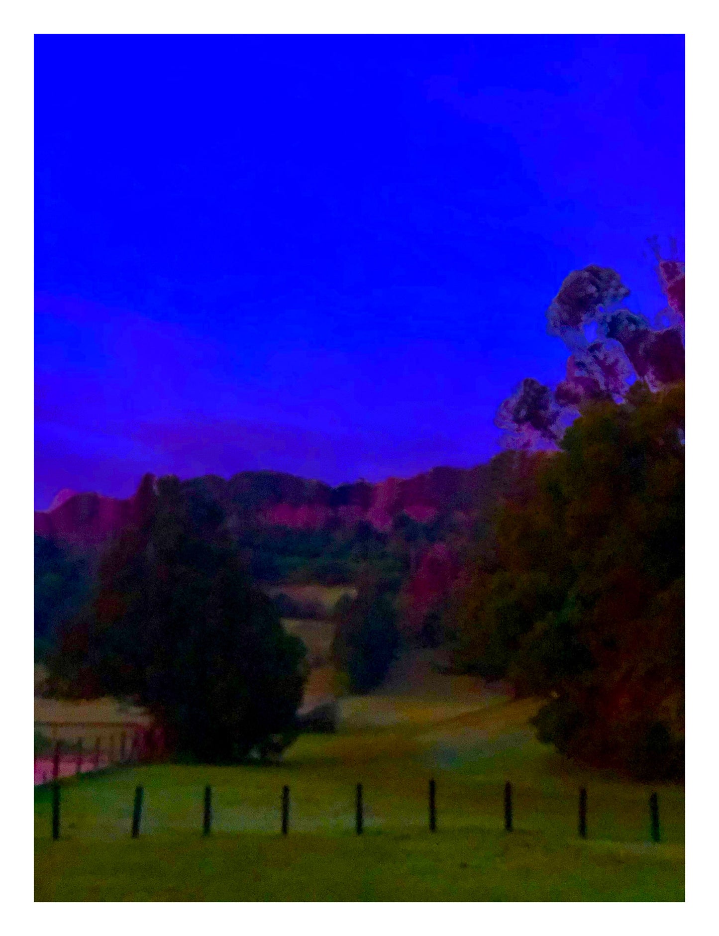 Vivid Country - Bilambil Horse Paddock - 3788a - 81.5x104cm, a soft-focus rural paddock at dawn with silhouetted trees, distant hills glowing in magenta tones, and a vibrant indigo sky, evoking a dreamlike Australian hinterland.
