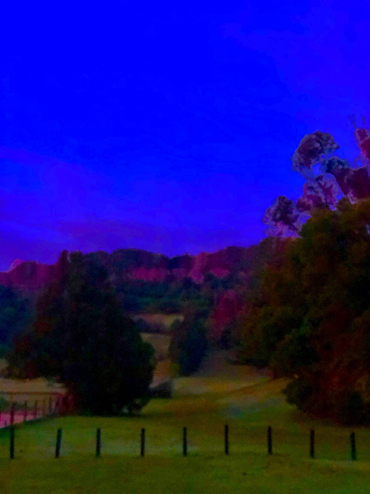 Vivid Country - Bilambil Horse Paddock - 3788a - 67.5x90cm, a soft-focus rural paddock at dawn with silhouetted trees, distant hills glowing in magenta tones, and a vibrant indigo sky, evoking a dreamlike Australian hinterland.