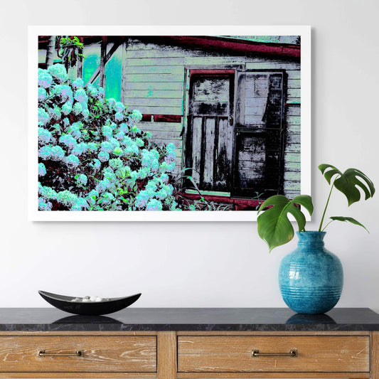 Vivid Country - Bucca Swans Rd Cottage - 6900080v28 - Room View, a rustic timber cottage with peeling paint sits beside a flourishing hydrangea bush in soft blues and greens, transformed into a vibrant and nostalgic pop art scene.