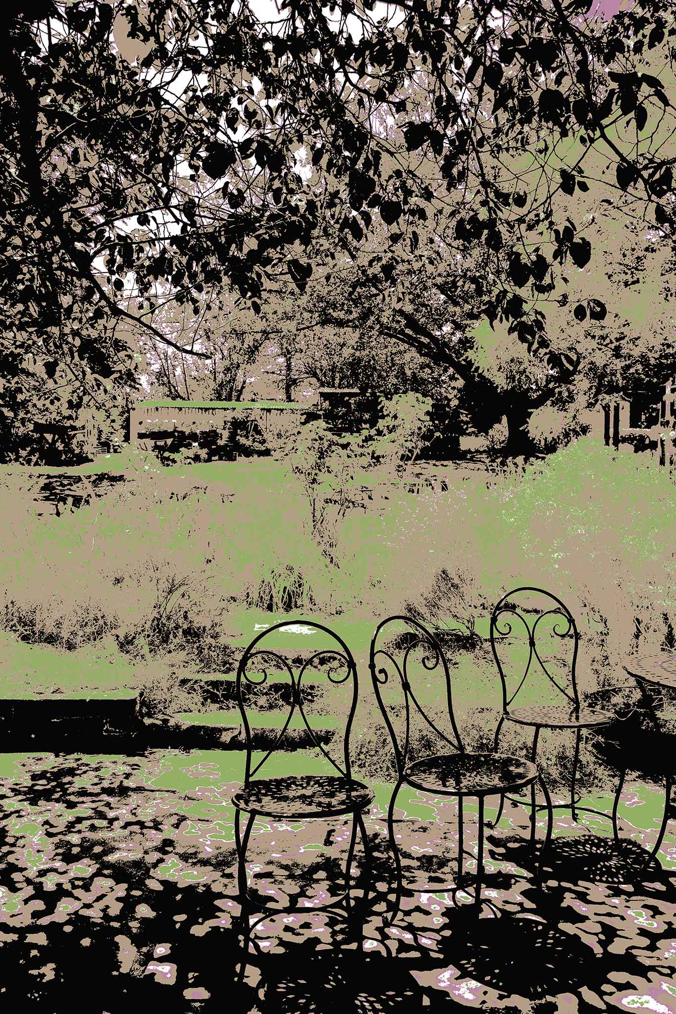 Vivid Country - Castlemaine Buda Garden Seats - 4313v25a - 60x90cm, a trio of vintage wrought iron chairs in dappled shade beneath leafy trees, set against a muted garden backdrop in soft greens and earth tones.