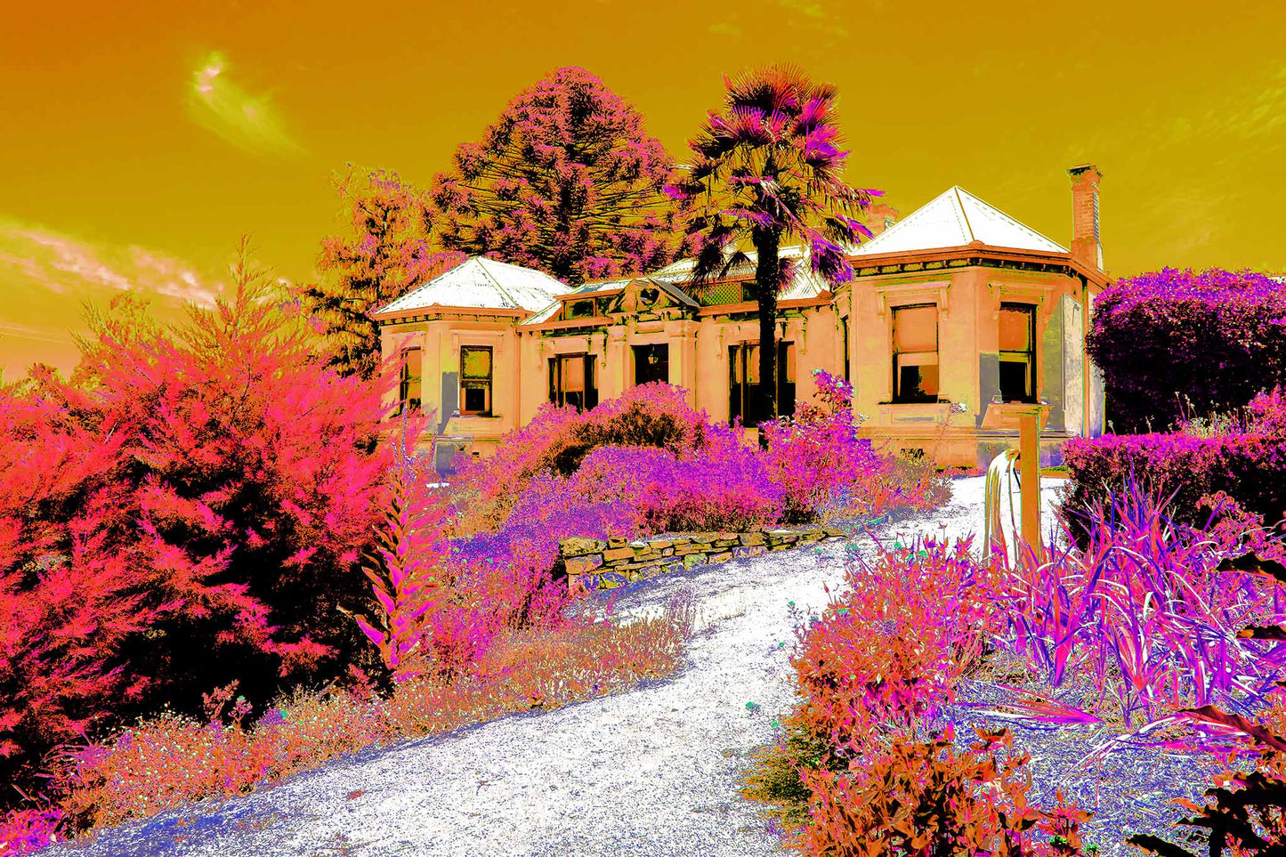 Vivid Country - Castlemaine Buda Historic Home - 4296v25a - 90x60cm, a historic gold rush-era villa surrounded by lush gardens and towering trees, rendered in a psychedelic blend of magenta, ochre, and pink tones beneath a golden sky.