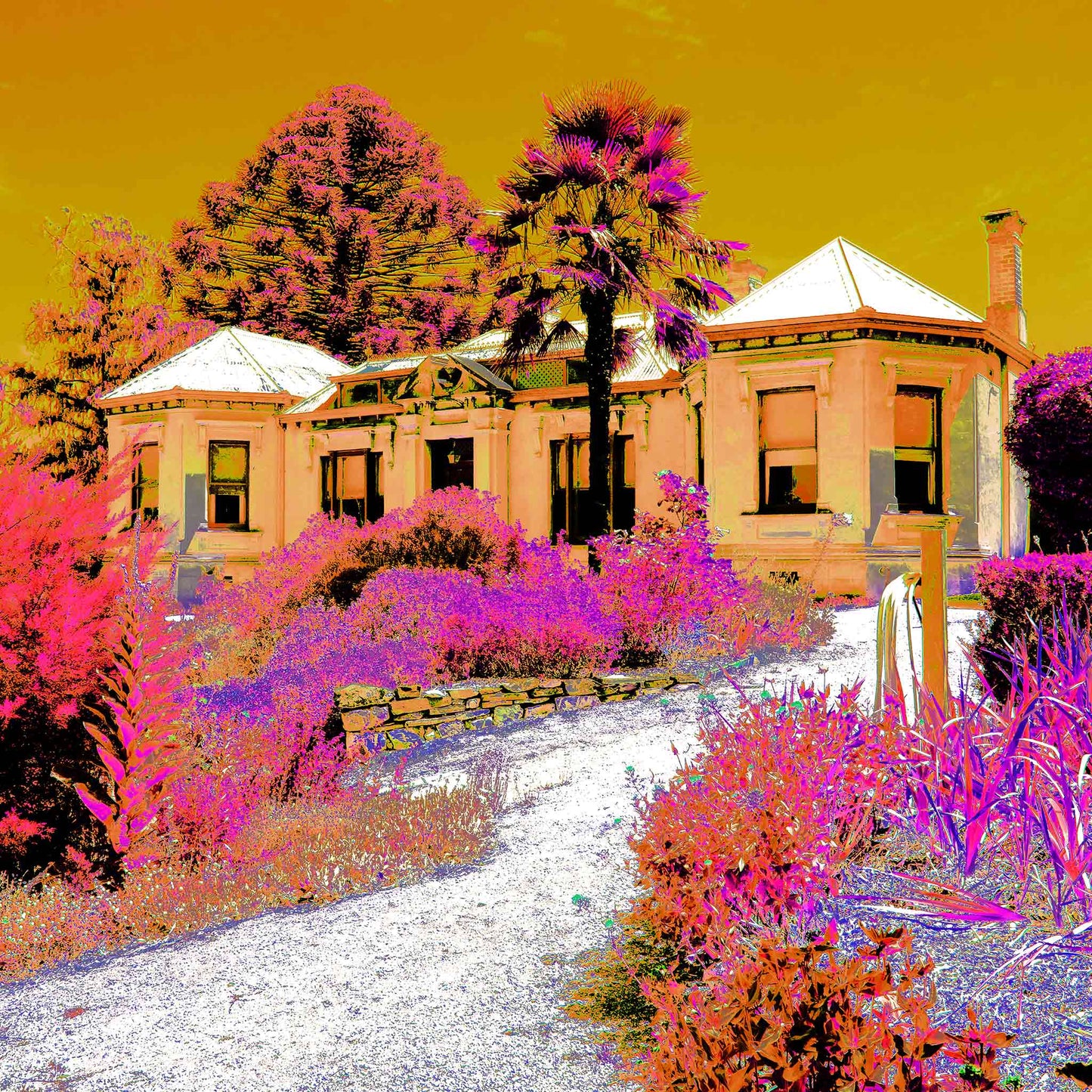 Vivid Country - Castlemaine Buda Historic Home - 4296v25a - Close Detail View, a historic gold rush-era villa surrounded by lush gardens and towering trees, rendered in a psychedelic blend of magenta, ochre, and pink tones beneath a golden sky.