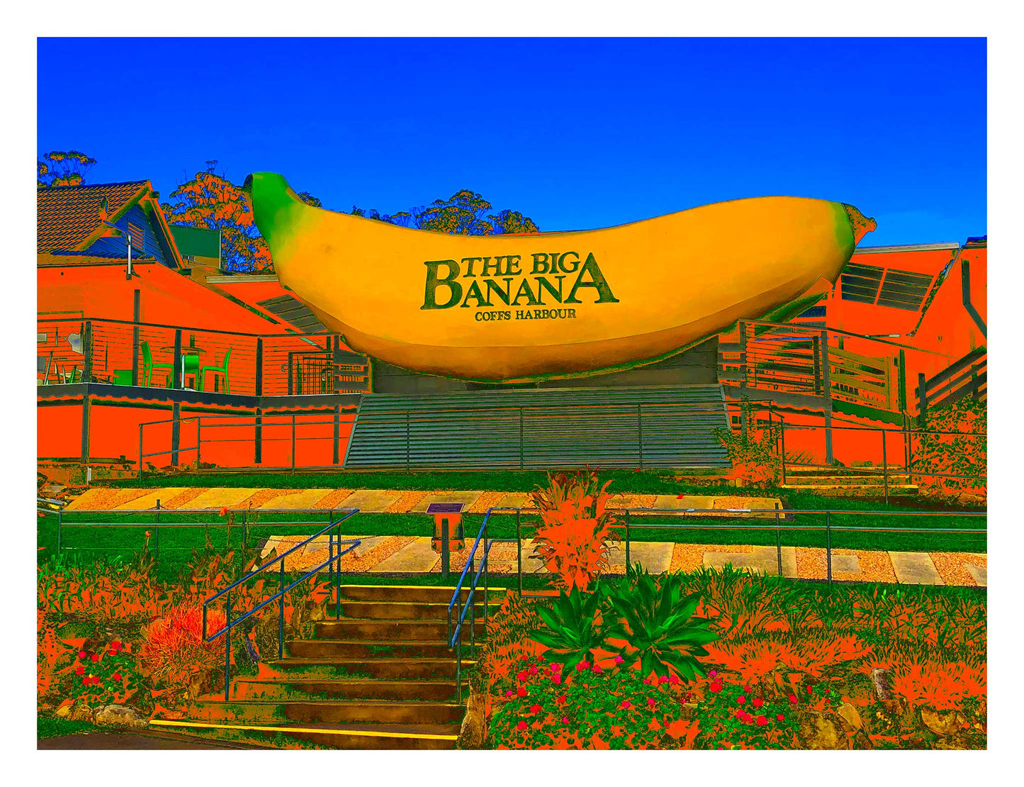 Vivid Country - Coffs Harbour Big Banana - 2173v56a - 104x81.5cm, a vibrant Pop Art interpretation of the iconic Big Banana roadside attraction, set against a bright blue sky with exaggerated orange and green foreground.