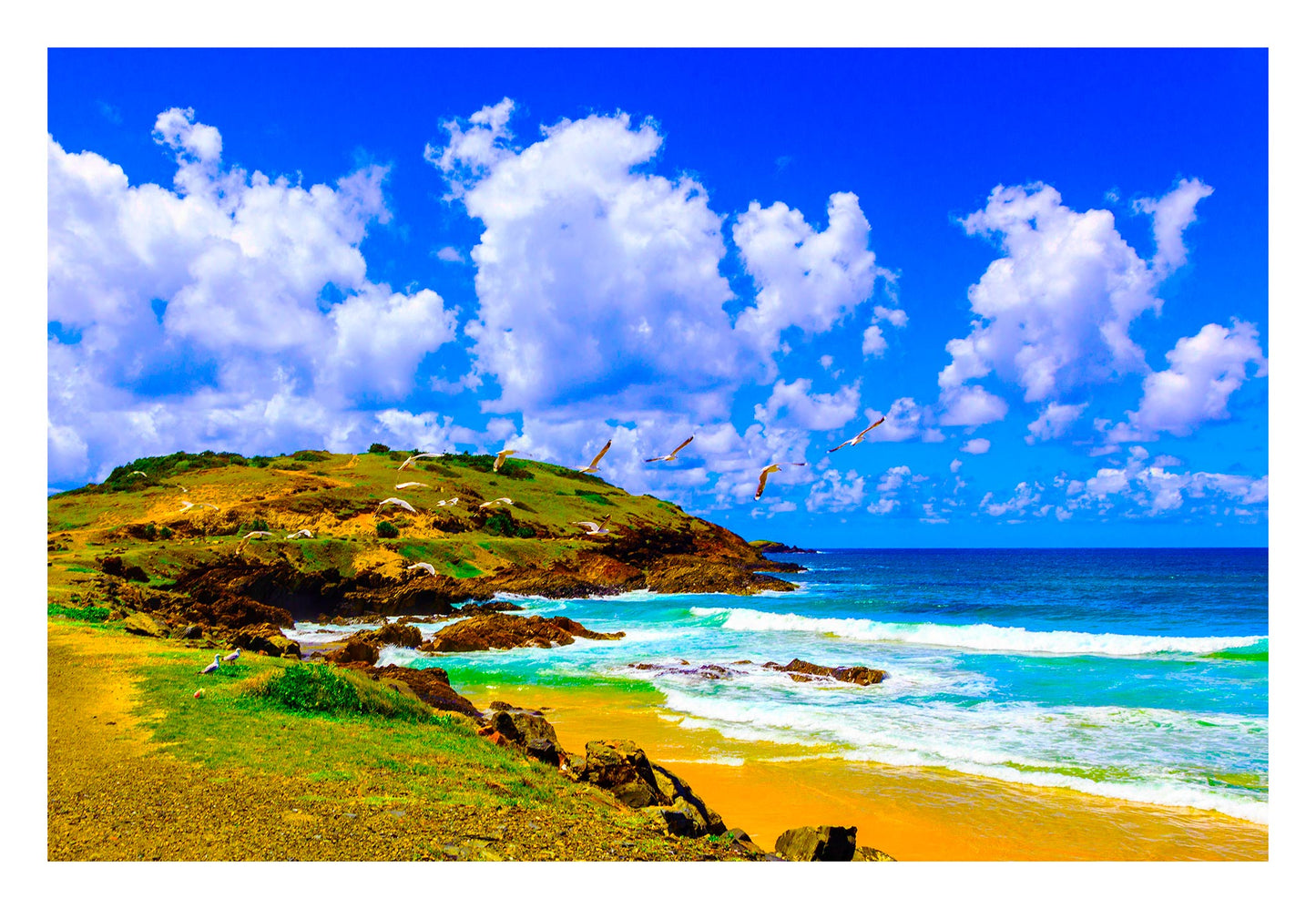 Vivid Country - Coffs Harbour Gallows Beach & Corambirra Point - 1203-2v6 - 104x74cm, a vibrant coastal landscape with soaring seagulls, a rocky headland, vivid blue ocean, and golden sands beneath a bright cloud-filled sky.
