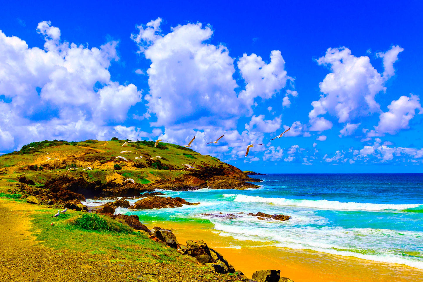 Vivid Country - Coffs Harbour Gallows Beach & Corambirra Point - 1203-2v6 - 90x60cm, a vibrant coastal landscape with soaring seagulls, a rocky headland, vivid blue ocean, and golden sands beneath a bright cloud-filled sky.