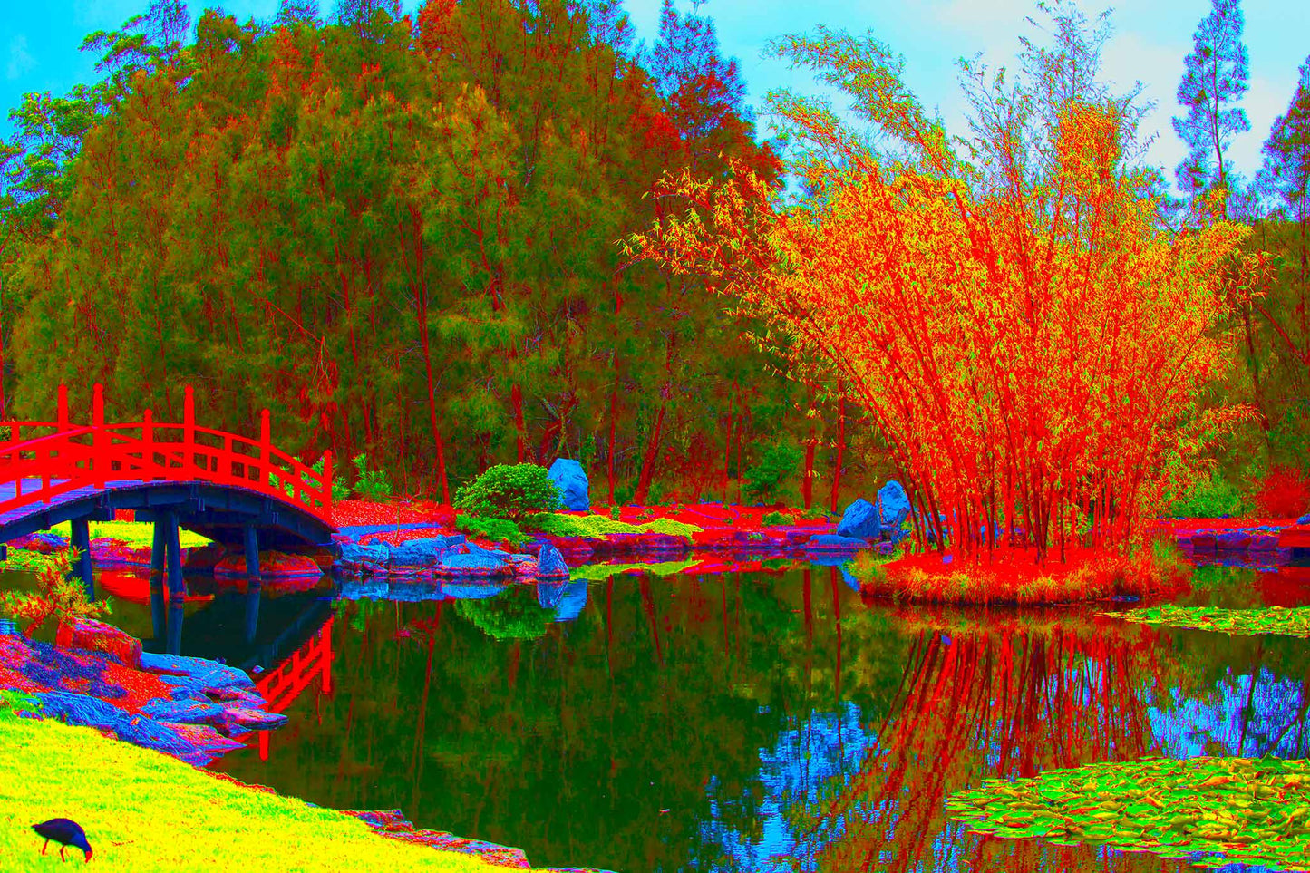 Vivid Country - Coffs Harbour Japanese Gardens - 7767v13 - 90x60cm, a vivid pop-style artwork featuring a red bridge, golden bamboo, and still water in a stylised Japanese garden setting, with bright reflections and bold contrasting colour.