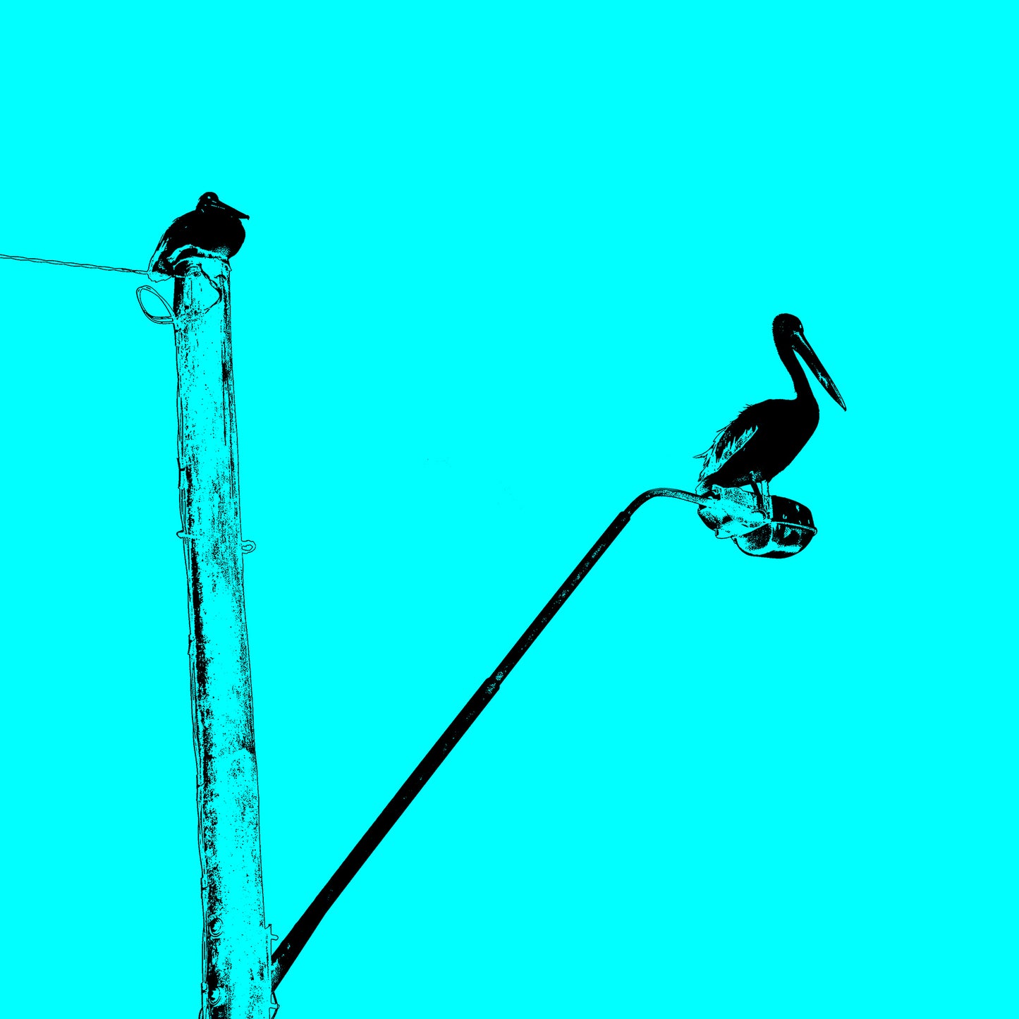 Vivid Country - Coffs Harbour Pelican Lamp Post - 6157v34b - Close Detail View, a stylised turquoise sky sets the scene for a black silhouetted pelican perched on a streetlamp, with a second bird on a nearby pole, minimalist coastal urban wildlife in pop-art form.
