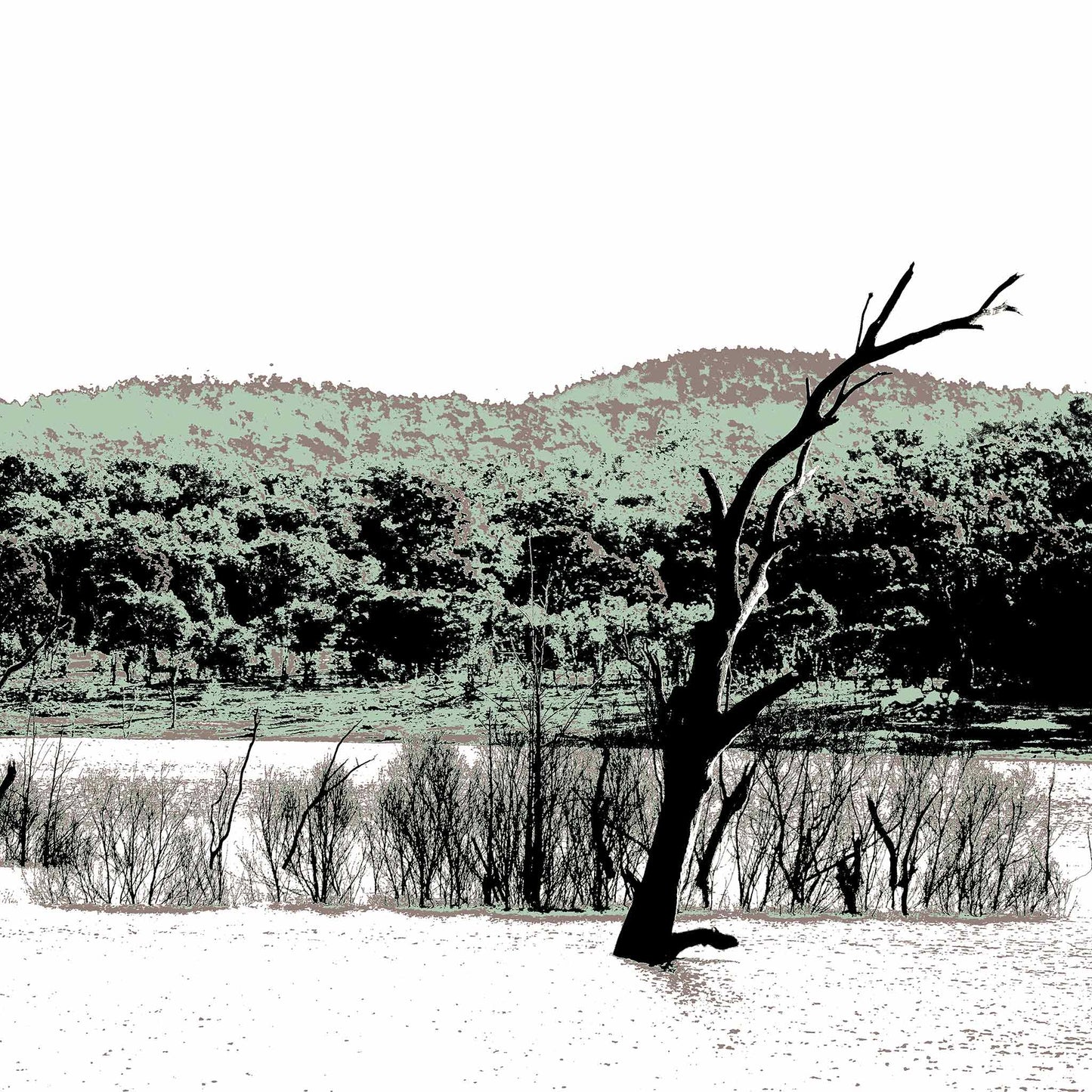 Vivid Country - Copeton Dam Water View - 5154v25 - Close Detail View, a solitary dead tree stands in still water before a muted bushland ridge under a wide open sky in this evocative Australian landscape print.