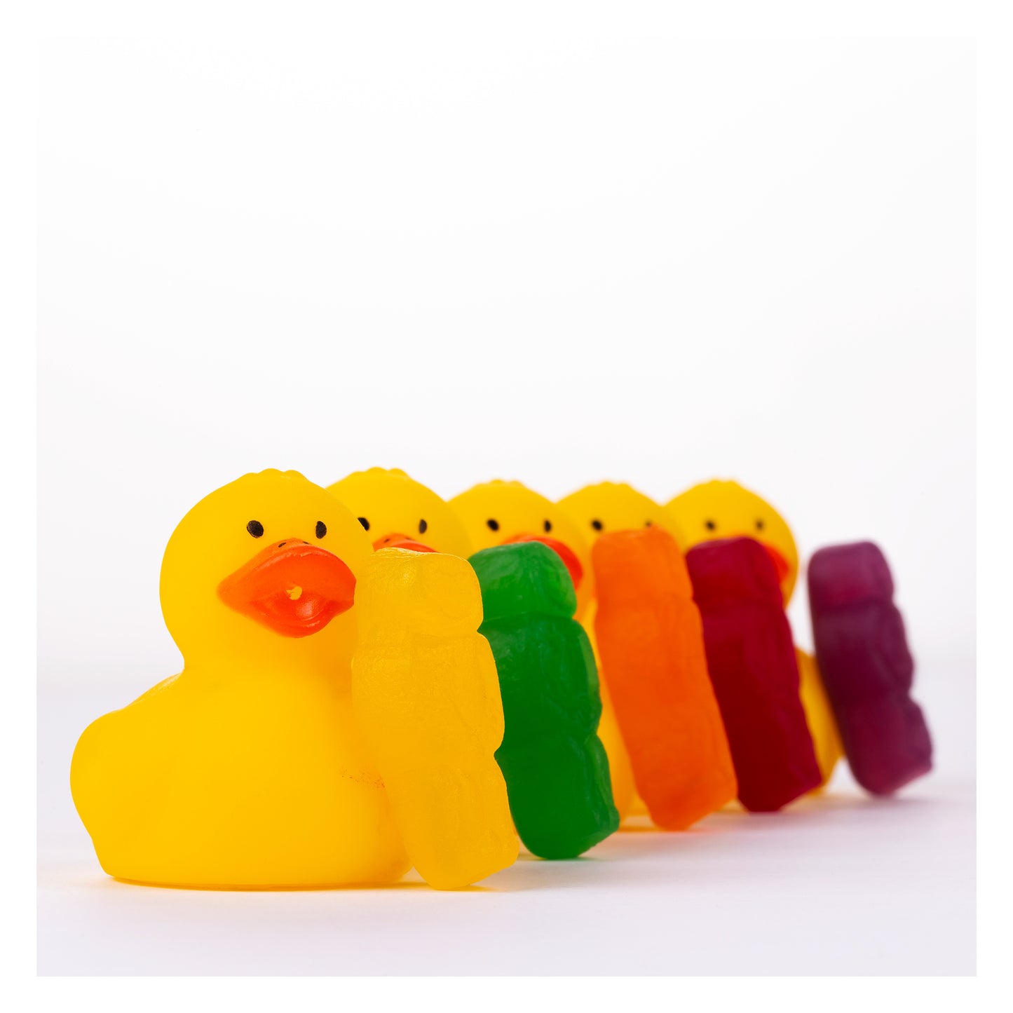 Ducks in a Row 1519 - 104x104cm, vibrant jelly baby figures leaning against a line of yellow rubber duckies, forming a rainbow procession on a white background, fine art photography by Raymond Mather, ART1.
