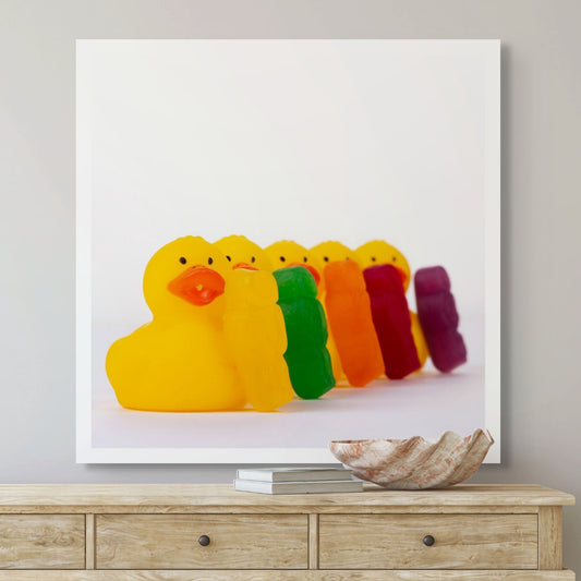 Ducks in a Row 1519 - Room View, vibrant jelly baby figures leaning against a line of yellow rubber duckies, forming a rainbow procession on a white background, fine art photography by Raymond Mather, ART1.