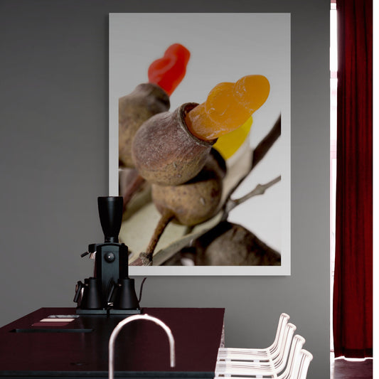 Gumnut Babies 10101 - Room View, colourful jelly baby figures nestled into real Australian gumnuts, photographed in close-up with playful contrast between organic texture and candy gloss, fine art print by Raymond Mather, ART1.