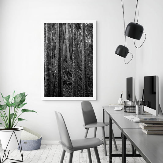 Monochrome Mix - Coffs Harbour - Bruxner Park Flora Reserve - Fig Tree - 0498v2 - Room View, A dramatic black-and-white photograph of a massive fig tree trunk framed by a vertical grid of slender rainforest trees, revealing intricate bark textures and organic root patterns in a dense Australian forest.