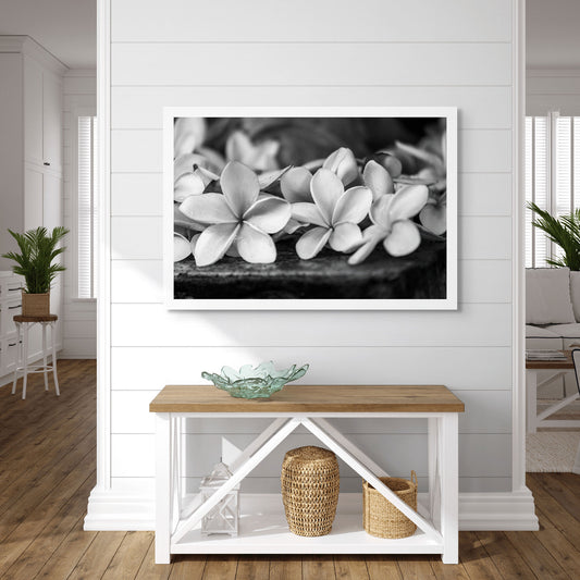 Monochrome Mix - Frangipanis - 182338v3 - Room View, A black and white photograph of dewy frangipani blossoms resting on stone, softly lit to enhance petal texture and contrast. Limited edition fine art print.