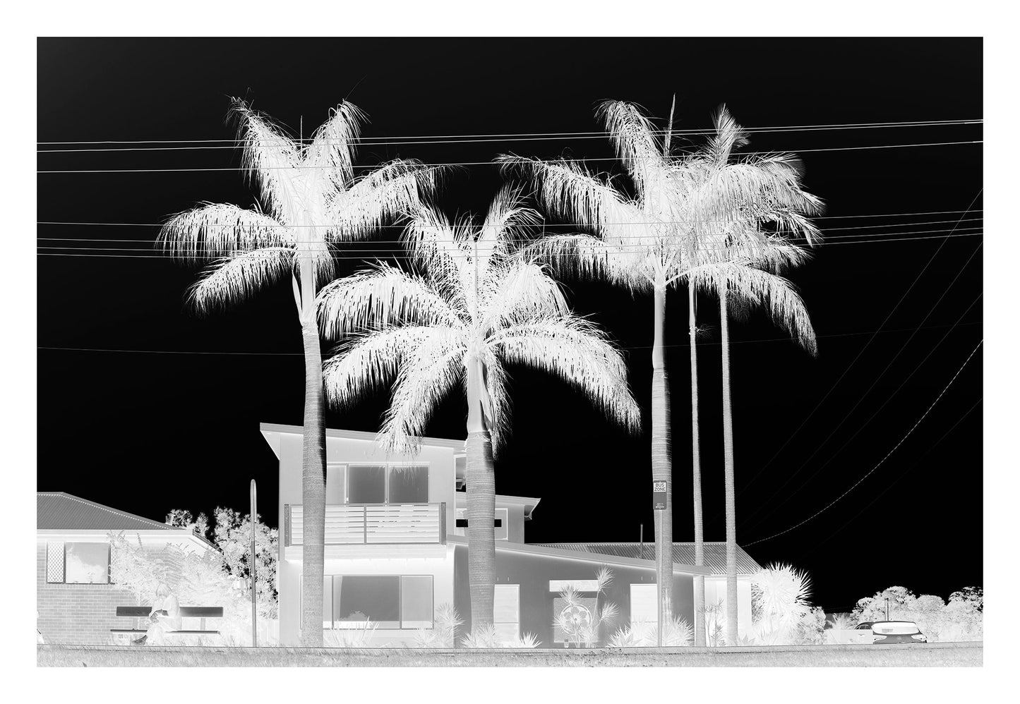 Monochrome Mix - Sawtell - Coastal Palms - 197461v2 - 104x74cm, Black and white image of palm trees in front of a modern suburban house, with visible powerlines and strong sky contrast, evoking a moody, cinematic aesthetic.