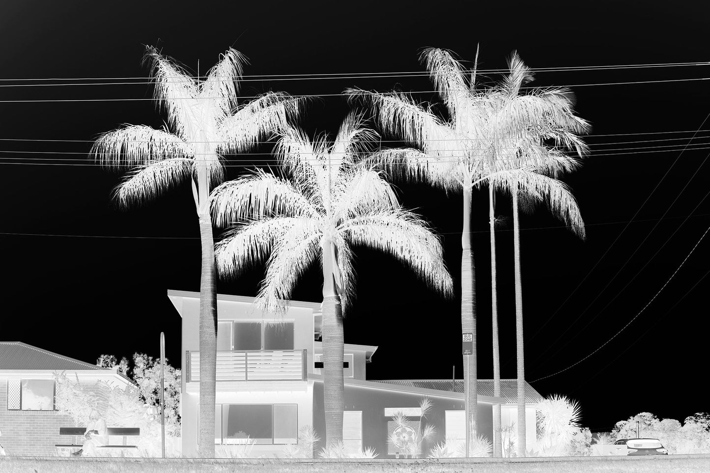 Monochrome Mix - Sawtell - Coastal Palms - 197461v2 - 90x60cm, Black and white image of palm trees in front of a modern suburban house, with visible powerlines and strong sky contrast, evoking a moody, cinematic aesthetic.