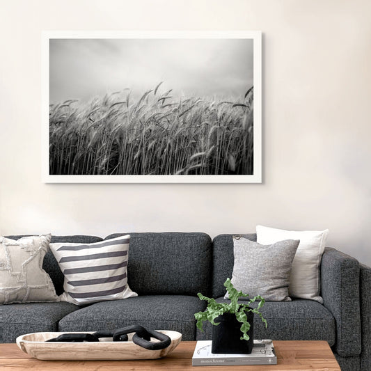 Monochrome Mix - Wheat Field - 258565v1 - Room View, A black and white close-up of tall wheat stalks beneath a cloudy sky, with fine detail in grain heads and soft background blur. Quiet rural landscape. Limited edition fine art print.