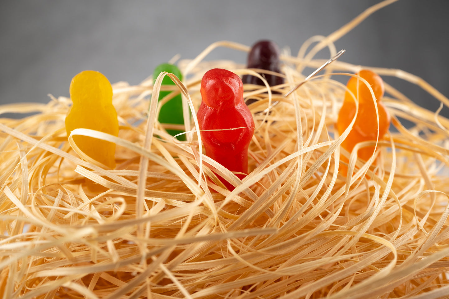 Needle in a Haystack 2523v1 - 90x60cm, conceptual fine art photograph by Raymond Mather featuring colourful jelly baby figures nestled in straw with a real sewing needle subtly placed, playfully reimagining the classic idiom in vibrant pop art style.