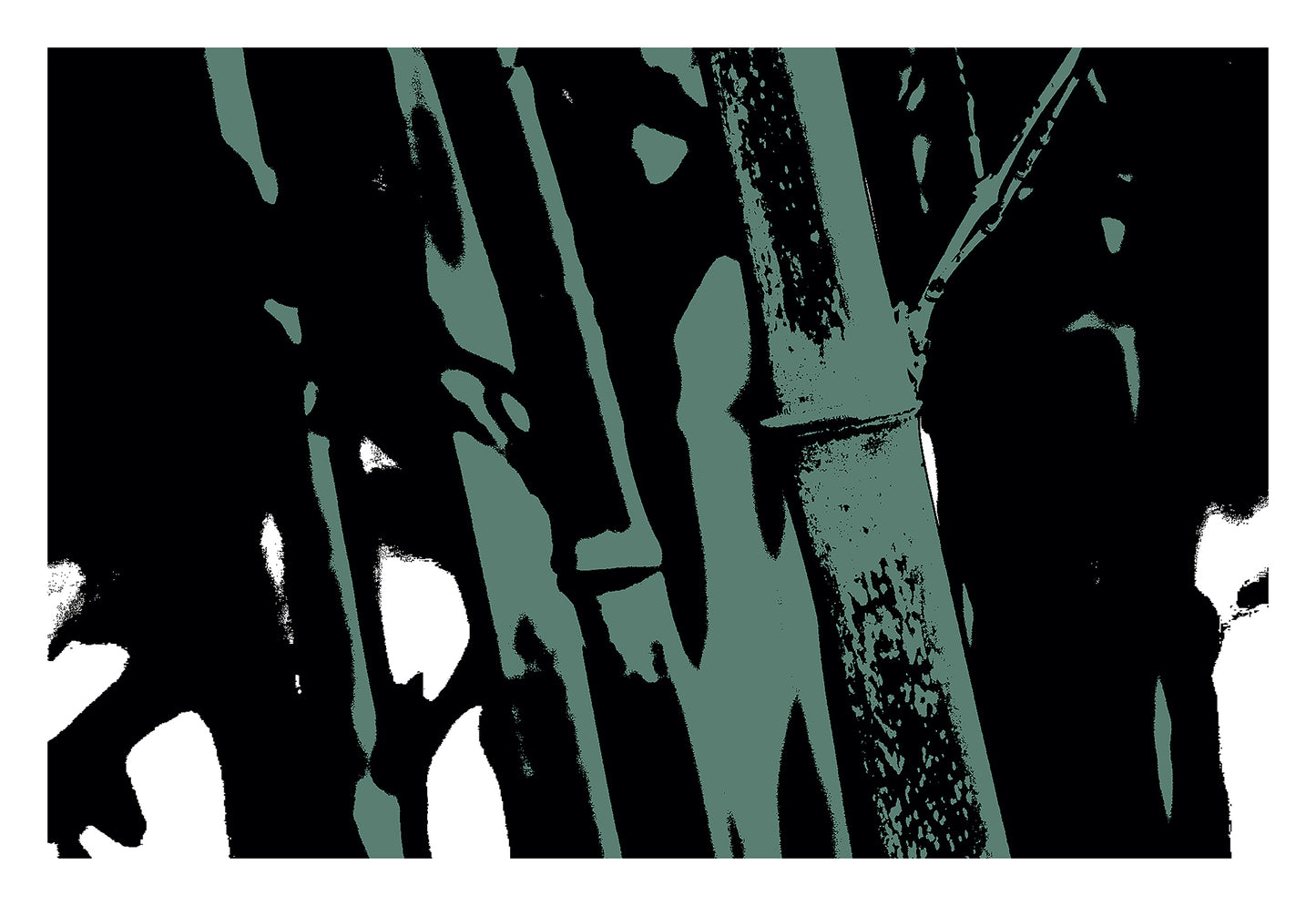 Pop Art Flowers - Bamboo No.104v8a - 104x74cm, a stylized pop art photograph of bamboo stalks rendered in muted sage green and deep black. The high-contrast design emphasises vertical lines and textured surfaces, evoking a moody, minimalist botanical aesthetic.