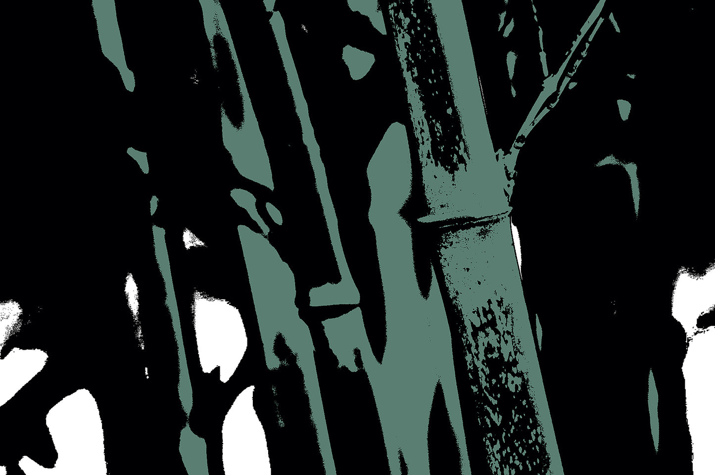 Pop Art Flowers - Bamboo No.104v8a - 90x60cm, a stylized pop art photograph of bamboo stalks rendered in muted sage green and deep black. The high-contrast design emphasises vertical lines and textured surfaces, evoking a moody, minimalist botanical aesthetic.