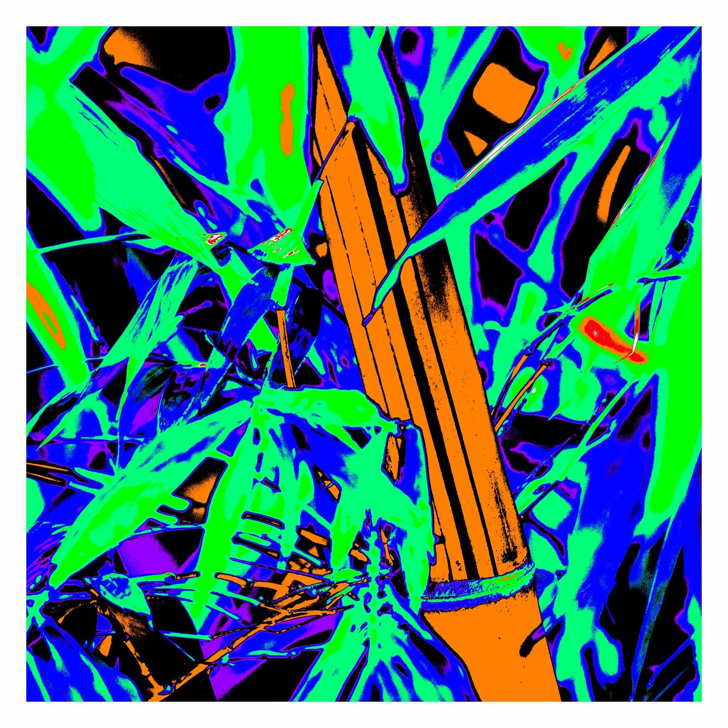 Pop Art Flowers - Bamboo 369O4830v12 - 104x104cm, a vivid pop art style image featuring a bright orange bamboo stalk surrounded by neon green, deep violet, and electric blue tropical foliage. The high saturation colours and bold contrast create a lively and surreal jungle composition.