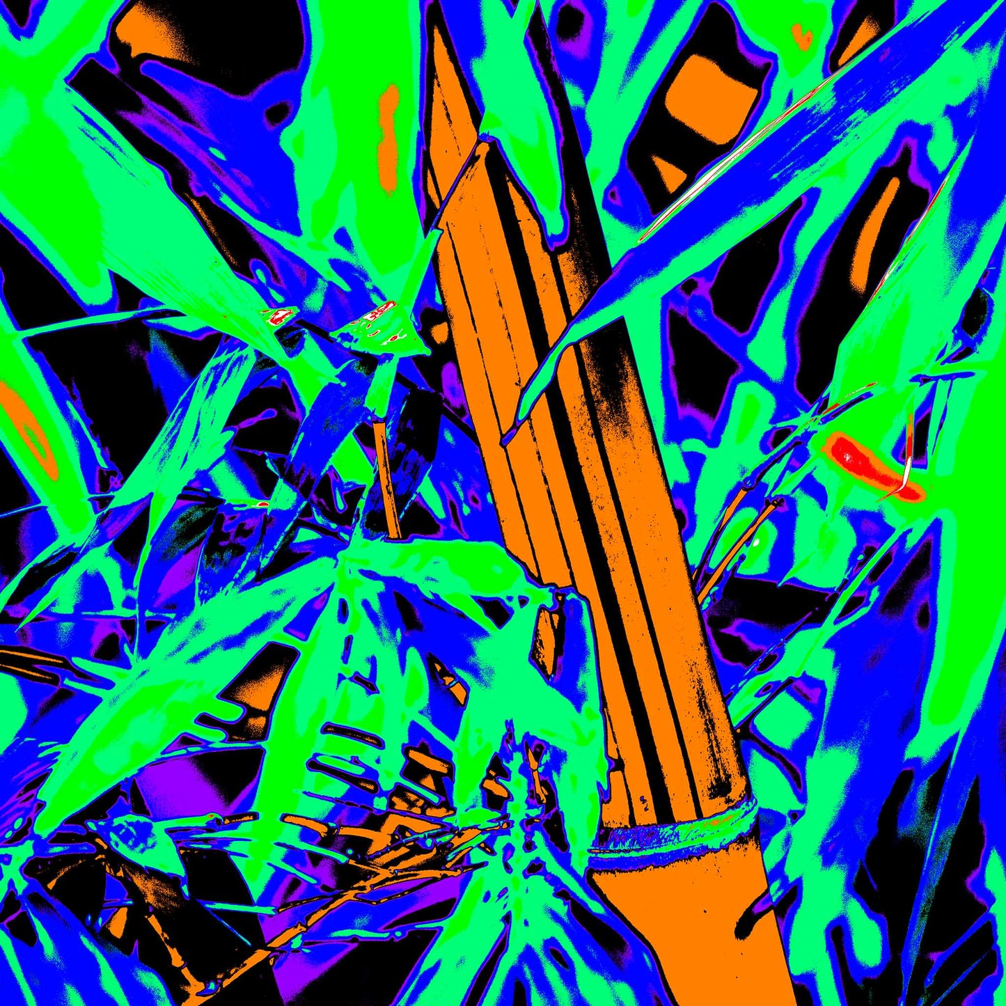 Pop Art Flowers - Bamboo 369O4830v12 - 90x90cm, a vivid pop art style image featuring a bright orange bamboo stalk surrounded by neon green, deep violet, and electric blue tropical foliage. The high saturation colours and bold contrast create a lively and surreal jungle composition.
