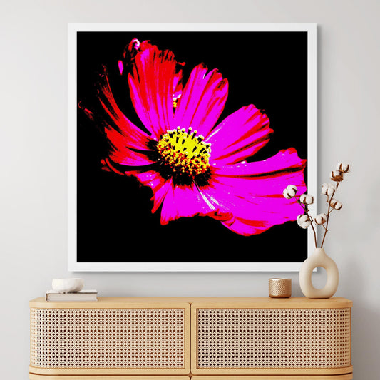 Pop Art Flowers - Echinacea Flower - 990319v5 - Room View, Bold pink Echinacea flower with vivid yellow centre on black background in high-contrast Pop Art style.