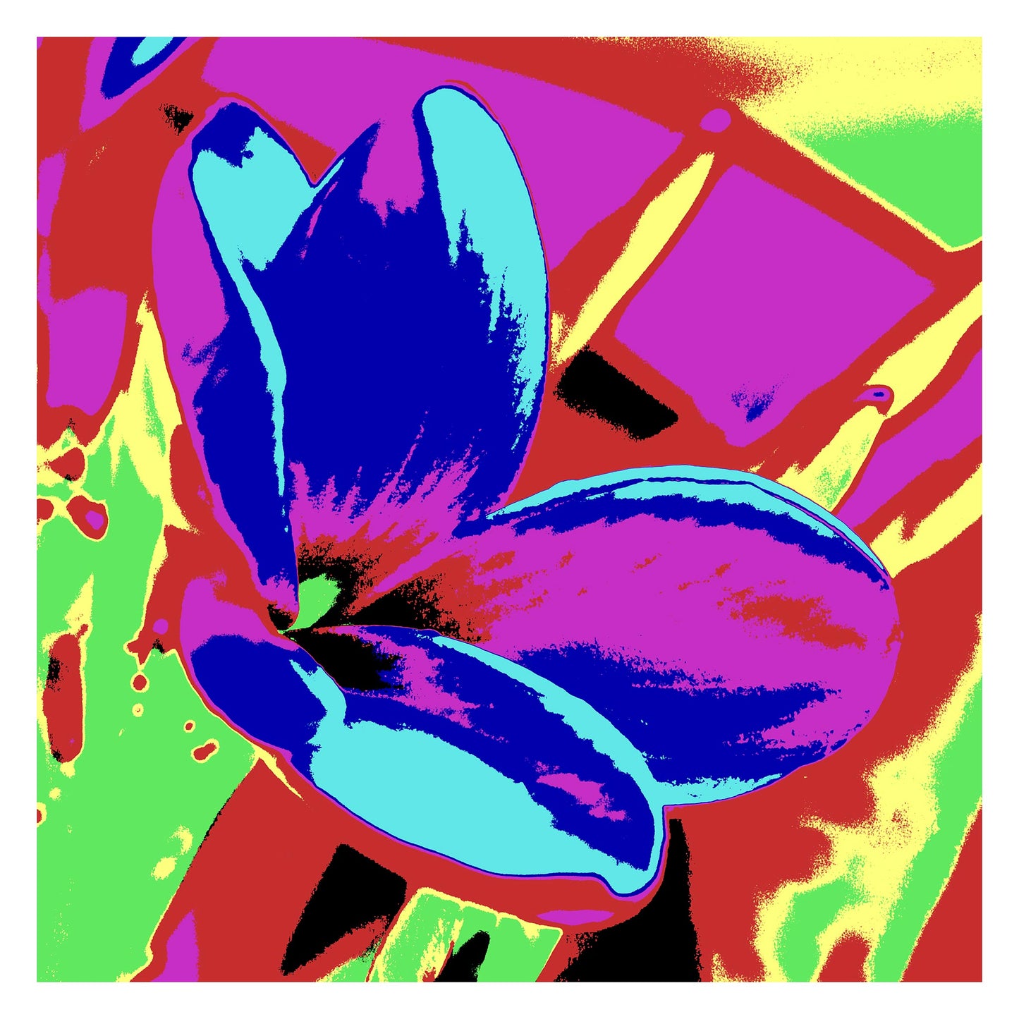 Pop Art Flowers - Frangipani - 207015v215 - 104x104cm, Vivid multicoloured frangipani flower in bright pinks, blues, reds, and greens with bold Pop Art contrast and stylised treatment.