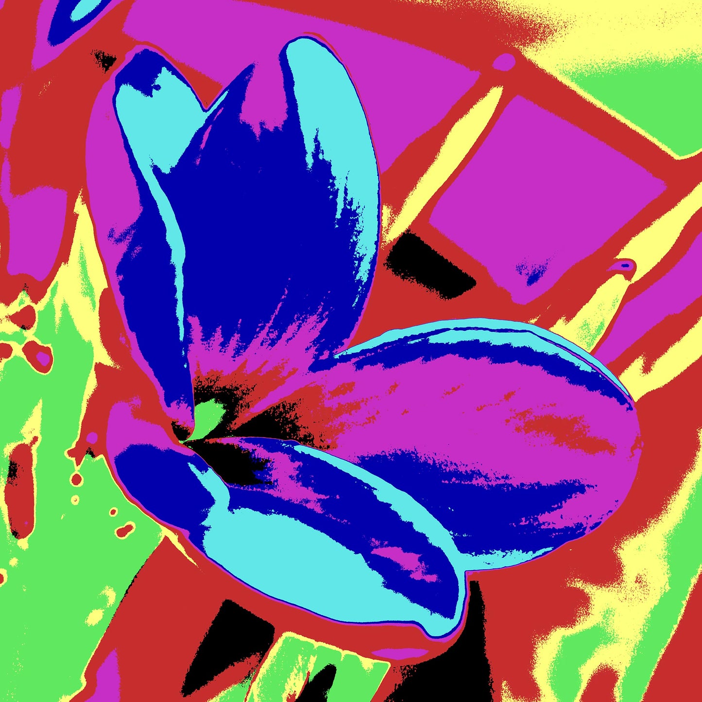 Pop Art Flowers - Frangipani - 207015v215 - 90x90cm, Vivid multicoloured frangipani flower in bright pinks, blues, reds, and greens with bold Pop Art contrast and stylised treatment.