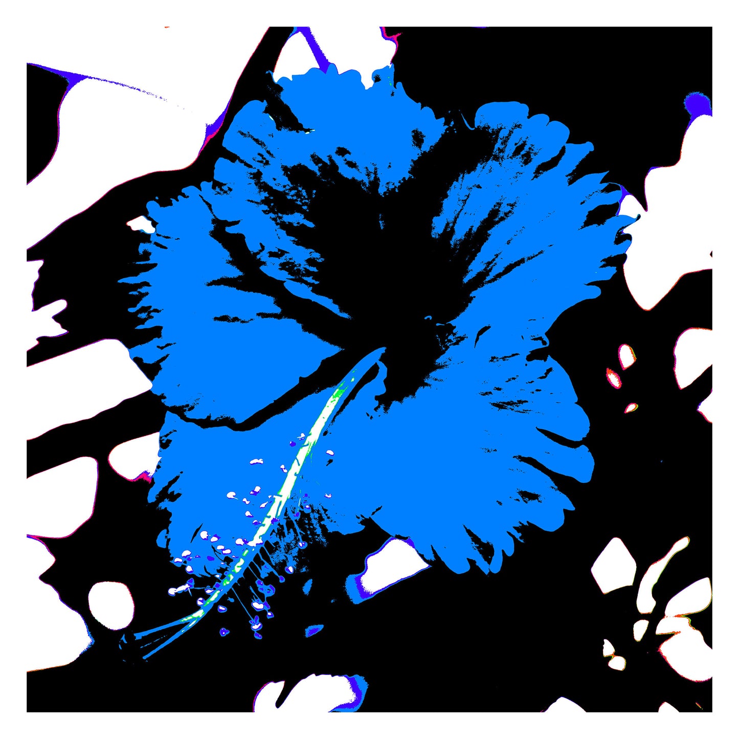 Pop Art Flowers - Hibiscus Tropical - 200741v6 - 104x104cm, Vibrant blue hibiscus flower with black centre on stark black-and-white background in bold Pop Art graphic style.
