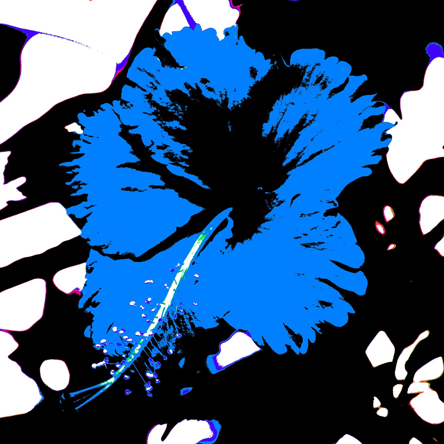 Pop Art Flowers - Hibiscus Tropical - 200741v6 - 90x90cm, Vibrant blue hibiscus flower with black centre on stark black-and-white background in bold Pop Art graphic style.