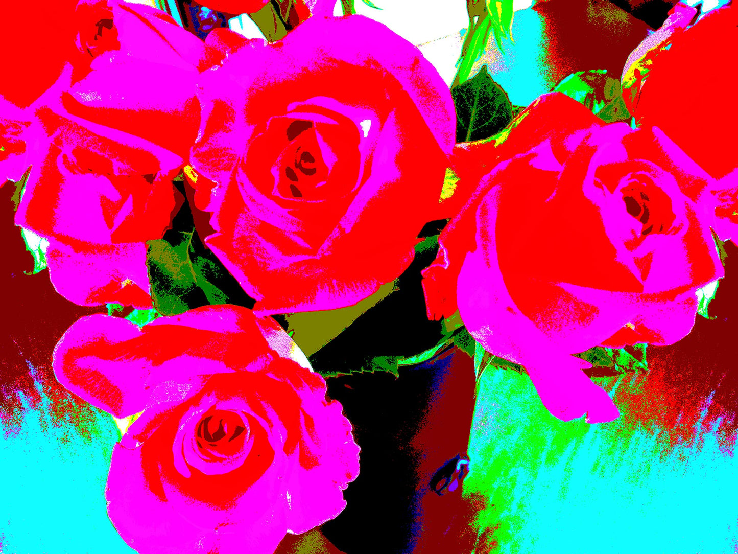 Pop Art Flowers - Roses - Vase - 153339v64 - 90x67.5cm, A vivid pop art image of red and pink roses in a vase, digitally enhanced with bold, saturated colours including turquoise, lime green, and magenta. Electrifying floral artwork. Limited edition fine art print.