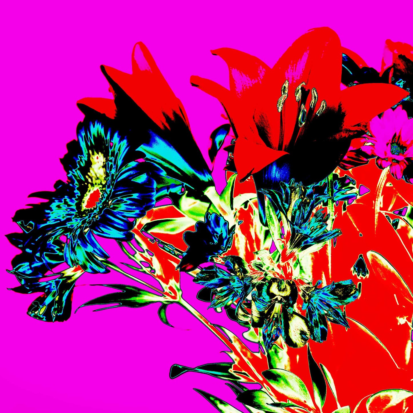 Pop Art Flowers - The Gift 369O1084v4 - Close Detail View, a vivid square format pop art image of red lilies, blue daisies, and green foliage against a hot magenta background. The composition is bold, saturated, and emotionally expressive, resembling a stylised floral bouquet.